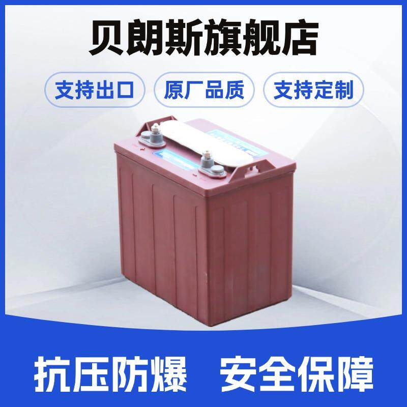 3-DG-200 游览车电瓶 火炬动力电池 3-EV-175 观光车用铅酸蓄电池