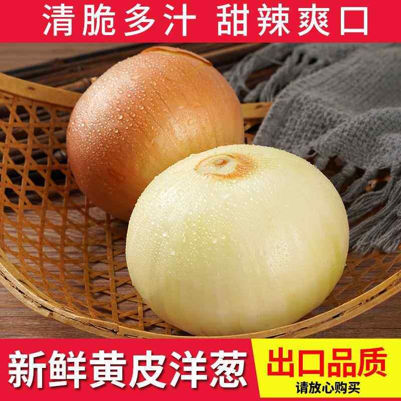山东优质黄皮洋葱新鲜大洋葱头白心圆葱农家自种精品洋葱包邮毛葱