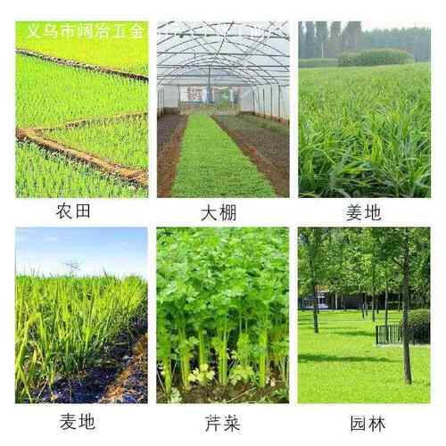 浇地用农水袋3带寸灌溉布水带4寸沟水水管IZE水袋5寸6寸7垄寸8寸