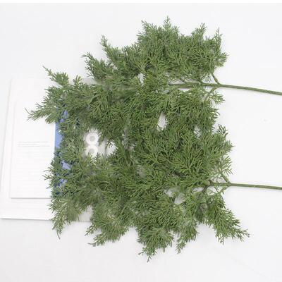 仿真植松物柏树叶绿植针001迎件客松侧树叶圣诞装柏饰配厂家