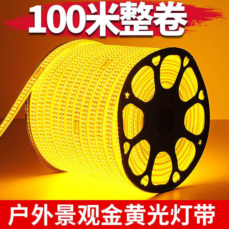 100米金黄光led灯带条工程亮化景观照明户外防水220V室外装饰