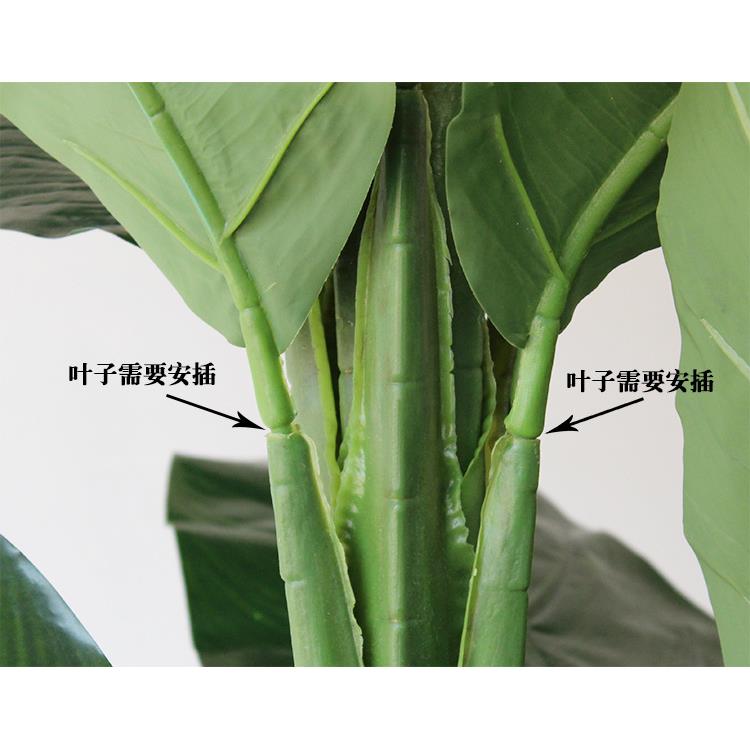 厂家RJE直供物大型仿真三杆芭蕉树绿大巨人植酒店植厅装饰绿盆栽