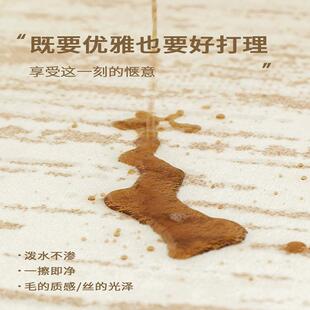 地高毯客轻奢级20241181感厅免可擦防水防污洗卧室床边房间耐脏易