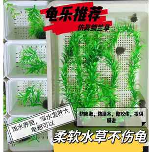 乌龟专用鱼缸造景装饰假绿植仿真水草海带剑兰假草乌龟躲避用假草