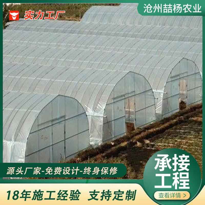 新型智能温室大棚 暖棚 大棚骨架钢管全套 农业塑料大棚菜棚
