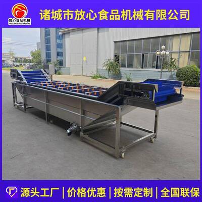韭菜自动清洗机SUS304不锈钢果蔬清洗机芹菜蒜黄蒜苗气泡清洗设备
