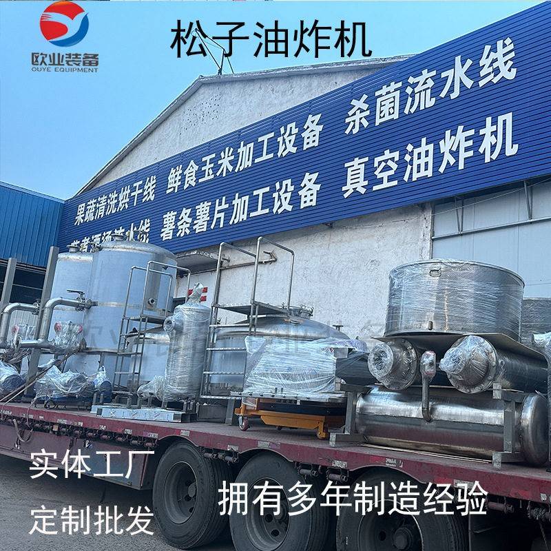 芋头脆片真空油炸机 豆角脆加工设备 南瓜脆片油炸机 苹果脆加工