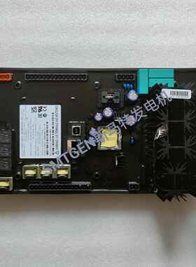 BASLER调压板DECS-1505NS1V1N1S1501NS1V1N1S1505NS1V1B1S