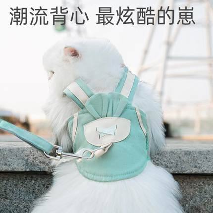 狗狗衣服秋冬款泰迪可牵引宠物小型犬比熊博美新年牵引绳春秋款