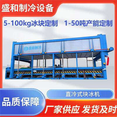 山东100kg冰块直冷式块冰机工业制冰设备大型制冰机