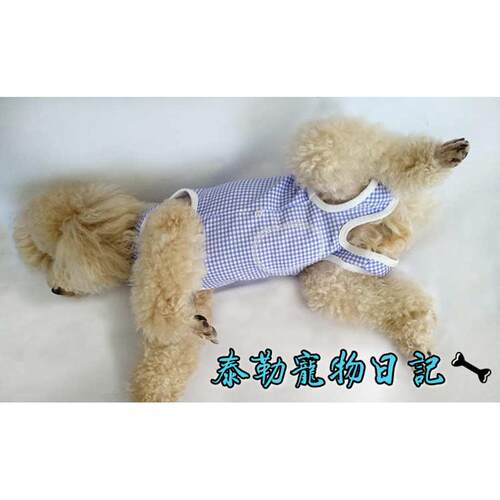 狗狗衣服蓝格子公狗防尿母狗全包护肚子断奶服母猫绝育手术服防舔
