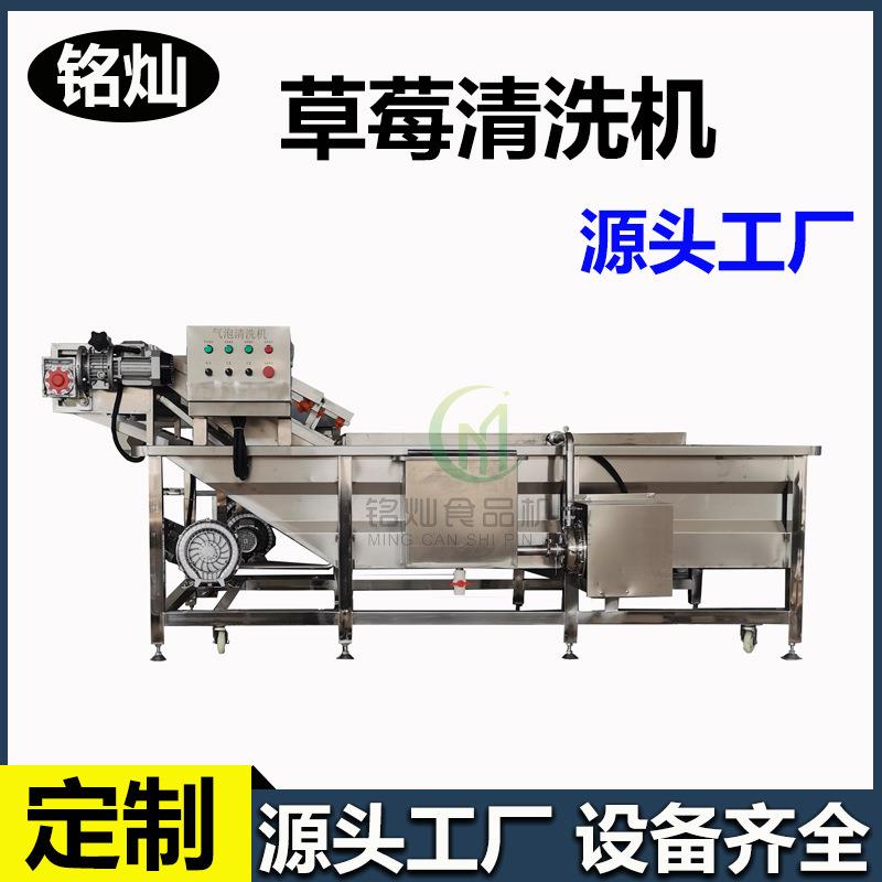 草莓气泡清洗机柑橘全自动清洗机气泡清洗设备