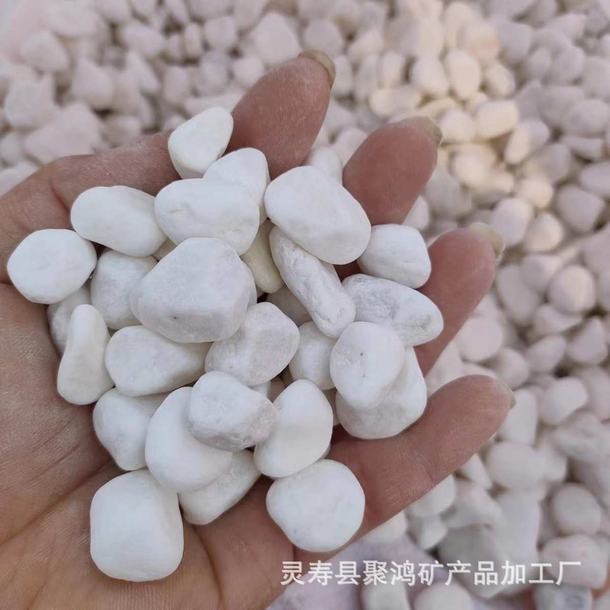 石英砂子填充草坪族石头白石池水雪花填充铺路庭院造景批发沙白沙