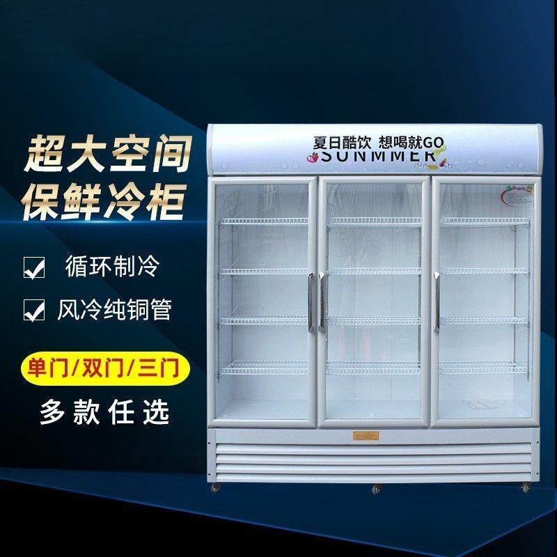 冷藏展示柜立式商用单开门冰柜大容量啤酒饮料超市保鲜展示柜