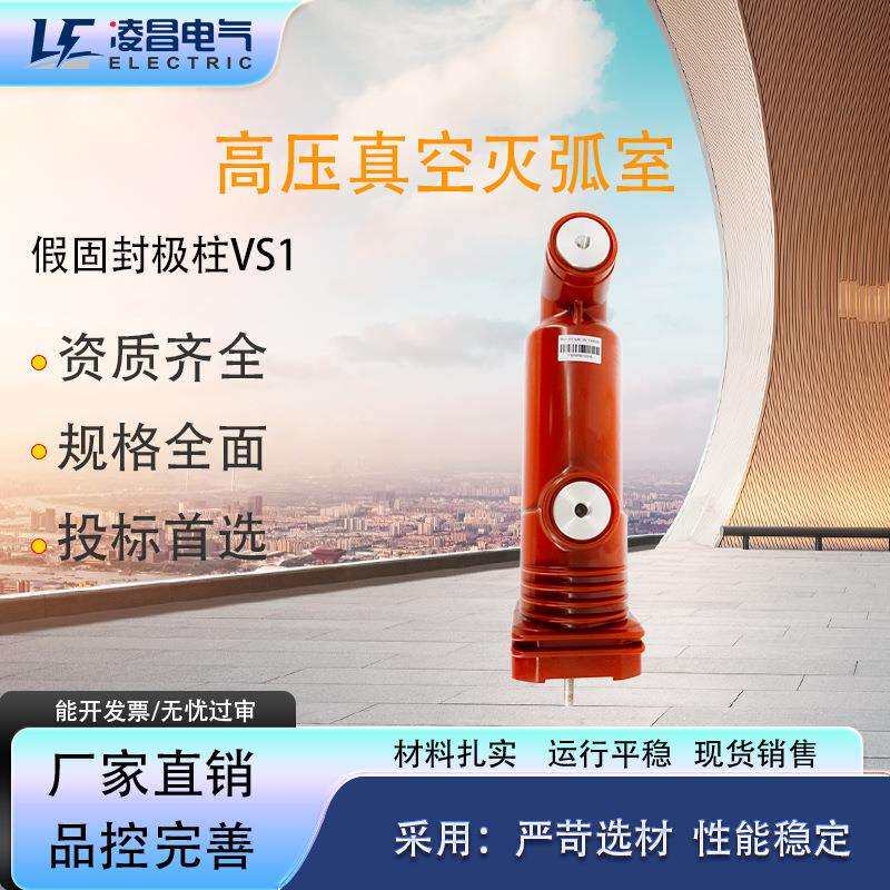 TD12真空灭弧室630A高压10KV断路器ZW32充气柜VS1极柱ZW20定 制ZW