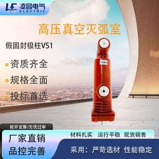 TD12真空灭弧室630A高压10KV断路器ZW32充气柜VS1极柱ZW20定制ZW