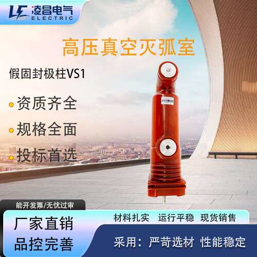 TD12真空灭弧室630A高压10KV断路器ZW32充气柜VS1极柱ZW20定制ZW