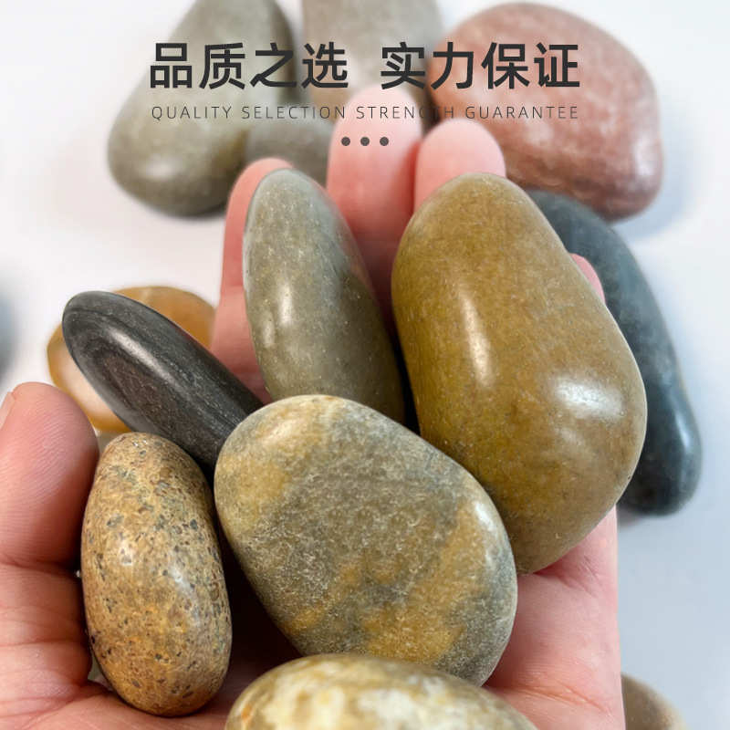 鱼缸鹅卵石造景雨花石普装饰鹅卵石铺底彩色石子多种鹅卵石颜色抛