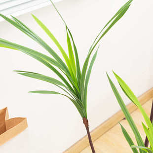 仿真花束批发君子兰办公室家居酒店摆台布景假花仿真花仿真树盆栽