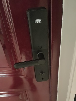 揭秘武匠指纹锁怎么样上手一周讲体验真相感受