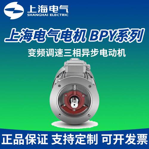 上电BPY-160L-218.5W变频调速三相异步电动机支持B3B5V1B35安装