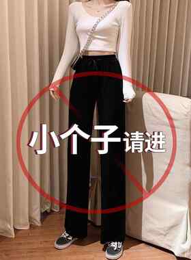 阔腿裤女高腰垂感春秋2025新款薄款显瘦直筒小个子金丝绒休闲裤子