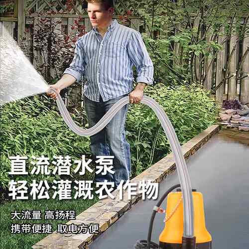 动厂家直电流抽潜水泵12v24v车水泵微型船舱泵太阳能家359用水泵