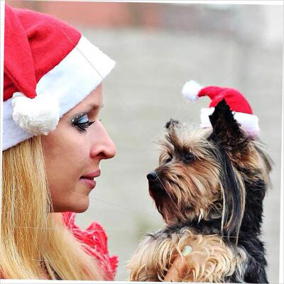 Christmas pet Santa Hat Dog small hat red furry hat宠物帽
