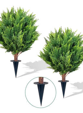 真地，都室外插可用室内柏树仿