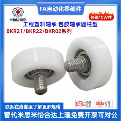 BKR21 22 32-D13 D14 D16 D18 D19 D20 D22 D24 D26 工程塑料轴承