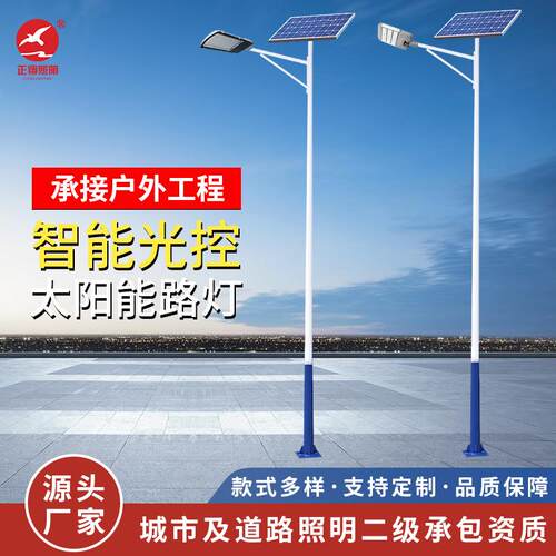 源头工厂6米路灯金豆款户外新农村照明灯市政道路灯