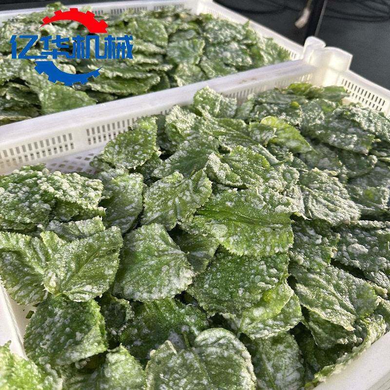 香酥翠叶油炸机 桑叶上浆油炸生产线 菩提南瓜挂浆油炸设备
