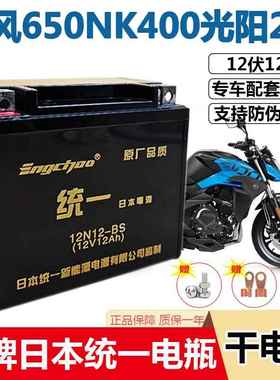 摩托车电瓶YTX12A春风650NK400光阳250赛艇300电池12V12AH蓄电池