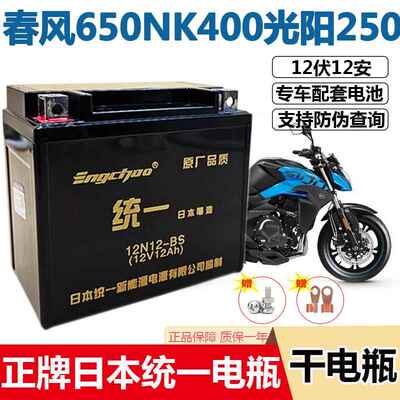 春风国宾650机车电瓶NK400光阳250赛艇300免维护统一电池12V14A