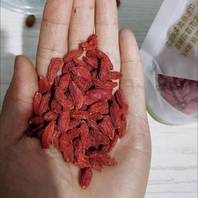 宁夏特优级级甲级罐装袋装农垦研究院枸杞西绿色食品玉WKN泡水干