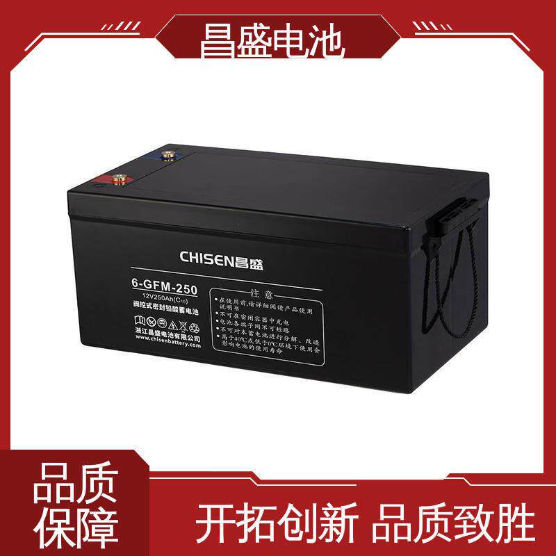 昌盛 6-GFMJ-250 eps应急电源 风能发电系统 应急蓄电池 经久耐用