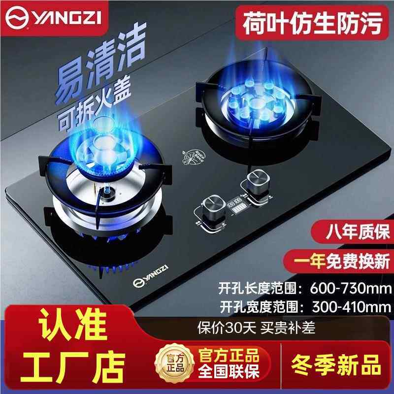 扬子新款现代 煤气灶双灶天然气燃气灶家用可拆卸易清理大火力