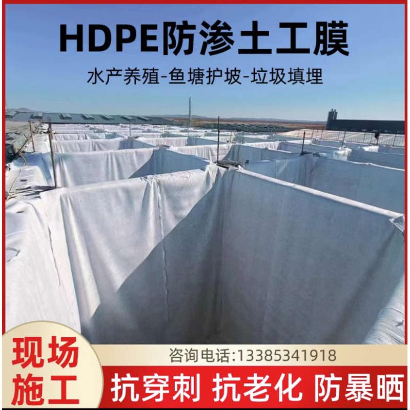 复合土工膜两布一膜土工布地基蓄水池水库鱼塘防渗膜防水布直供