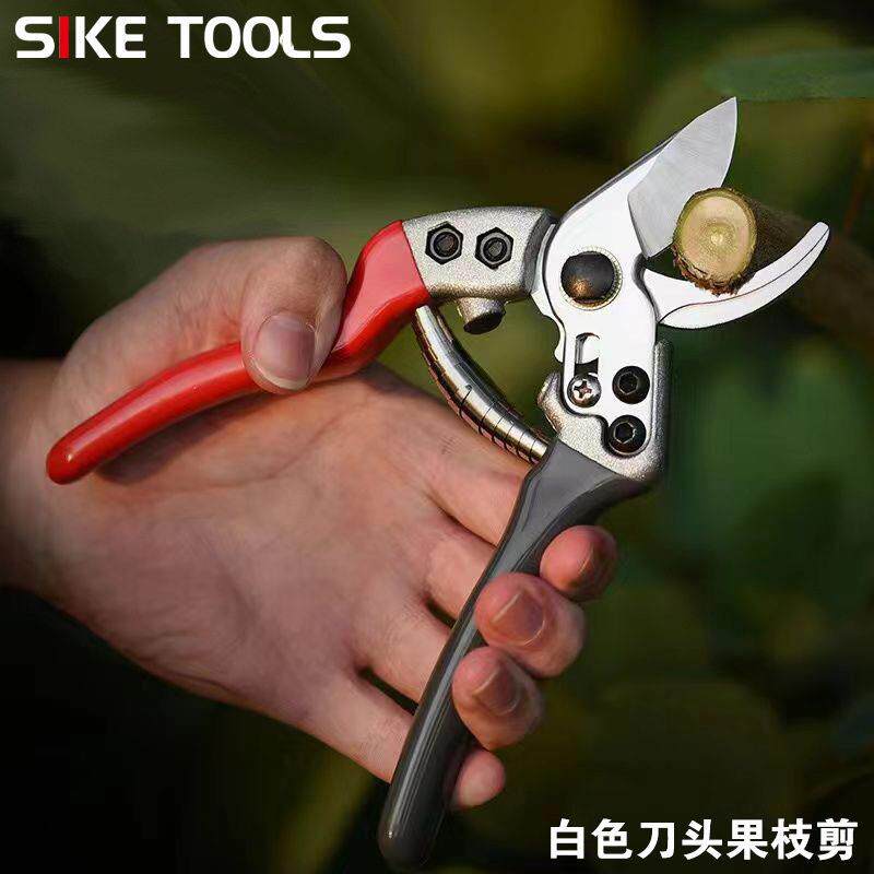 修枝剪加厚优质树枝剪园艺花枝剪果树剪枝专用果枝花艺剪刀图片