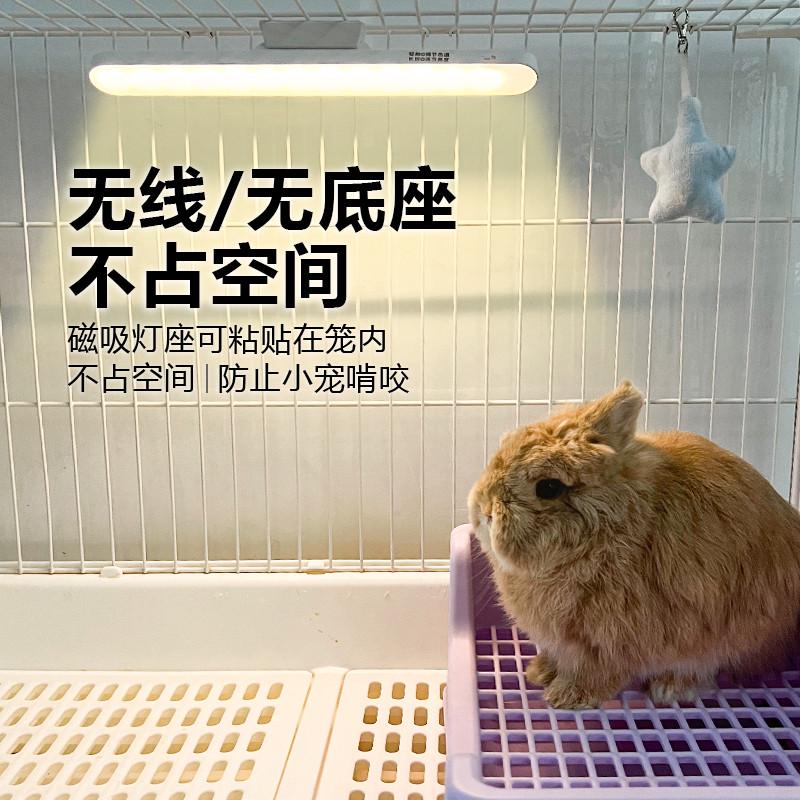 兔笼补光灯氛围灯兔子专用达洋笼子r81装饰家用暖光室内光线柔和