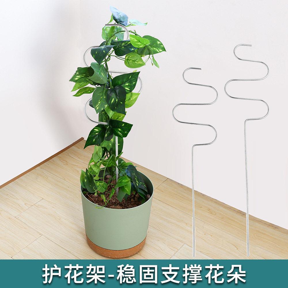新款室内花园铁艺护花架家居实用固定不锈钢植物护叶支撑架现货