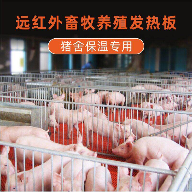 仔猪用电热板家兽宠物养殖场加热板保温板碳纤维猪仔碳晶耐温