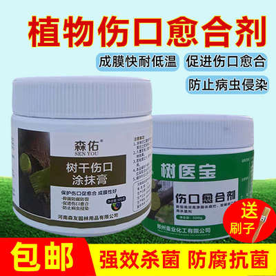 植物伤口愈合剂果木嫁接树洞填补防腐杀菌树木修剪切口修复涂抹膏