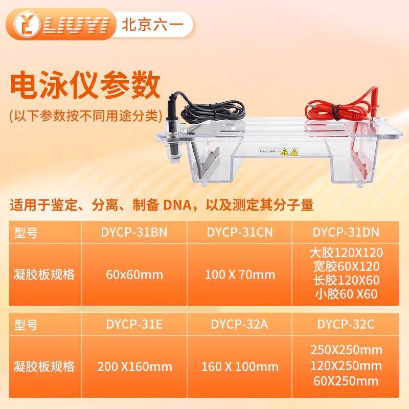 北京六一 DYCP-31DN 凝胶实验室电泳槽电源琼脂糖水平垂直电泳仪