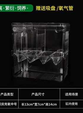 收纳繁殖鱼缸凤尾网鱼鱼缸隔离网盒小号新款专用鹦鹉鱼鱼苗盒板