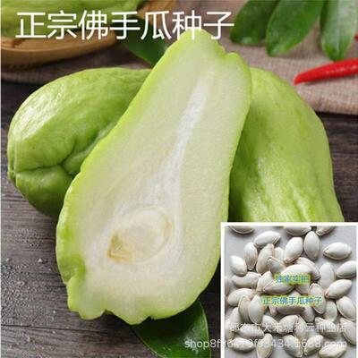 Early maturing Buddha