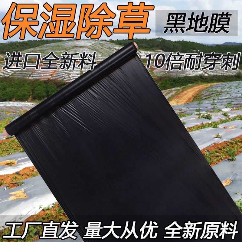 农用加厚抗老化黑色地膜塑料薄膜除草盖草保温保湿防草大棚种植地