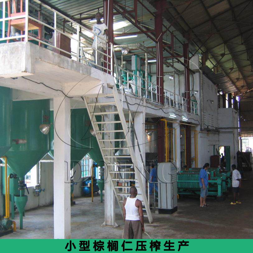 国瑞油脂 棕榈仁壳分离系统生产线 成品棕榈仁油全套加工生产设备