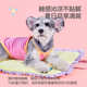 丝凉宠物垫垫小型感dogtalk猫犬降温冰冰睡狗狗夏天垫子花边床狗