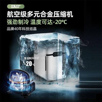 SAST车载迷你小冰箱宿舍出租房小型母乳单人用冷藏箱车家两用